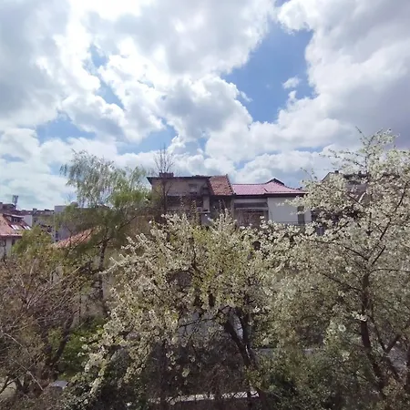 Center 7 * 索菲亞